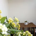 Sara I Klara * 特罗吉尔